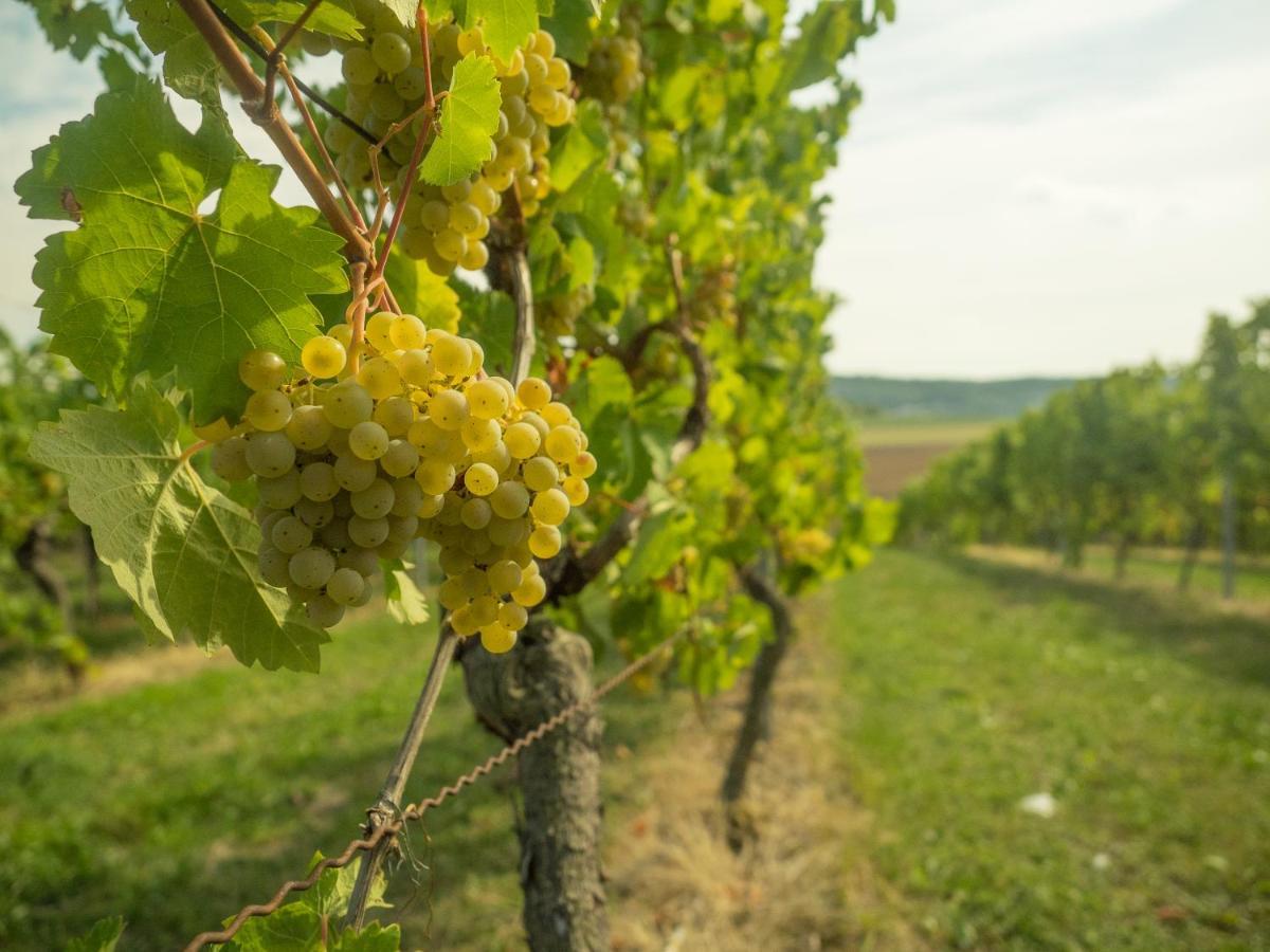 Vinotel Heinz J. Schwab Bretzfeld Buitenkant foto